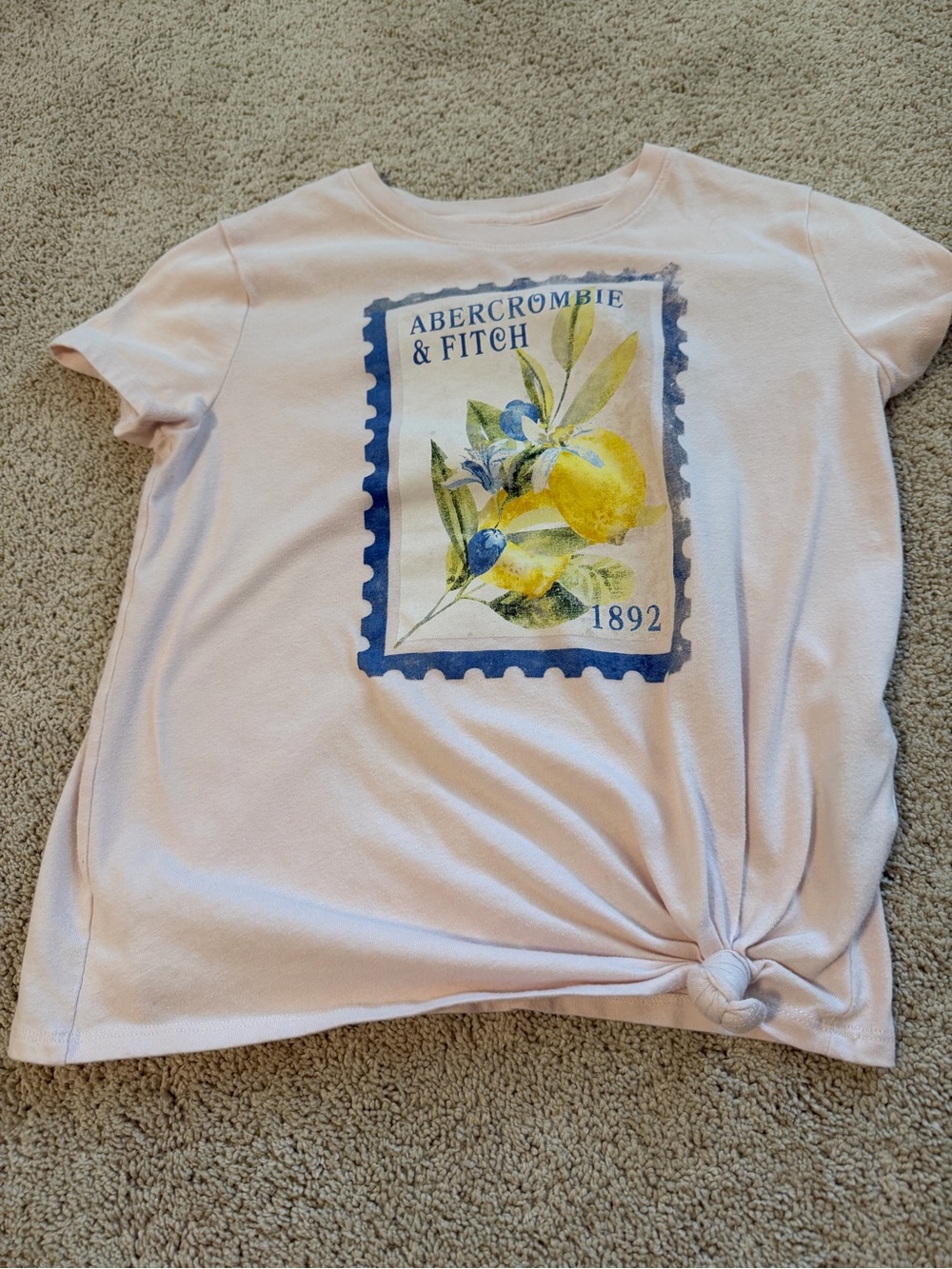 abercrombie kids Light Pink Short-Sleeve Tee with Lemon Graphic and Front Knot